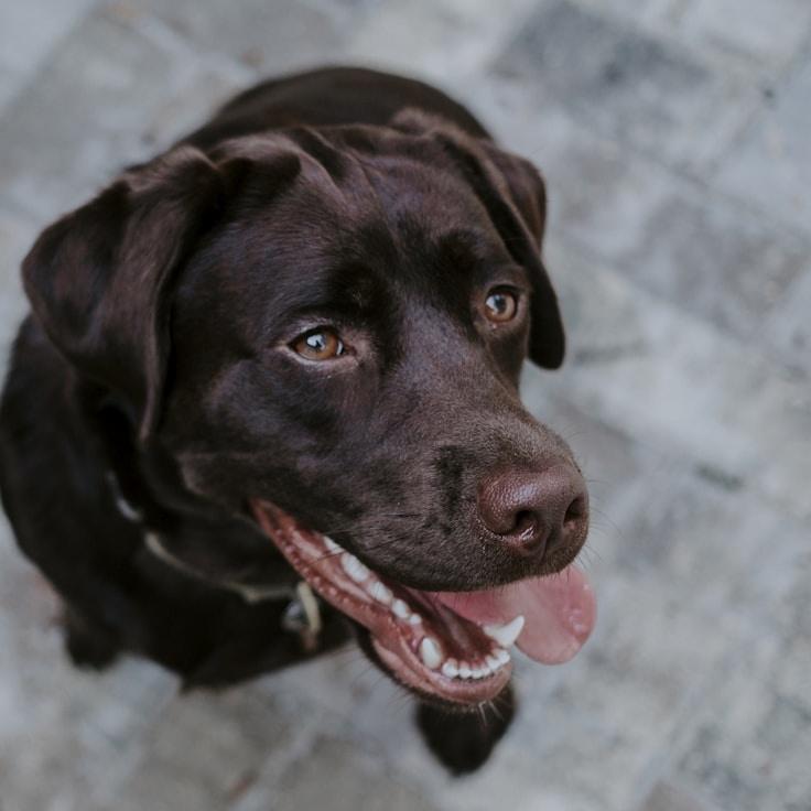 Portrait of Aarav Kumar meditation instructor